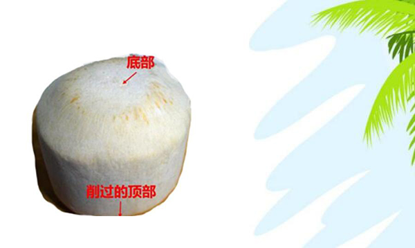 青椰子的三個(gè)孔怎么找，青椰子怎么
