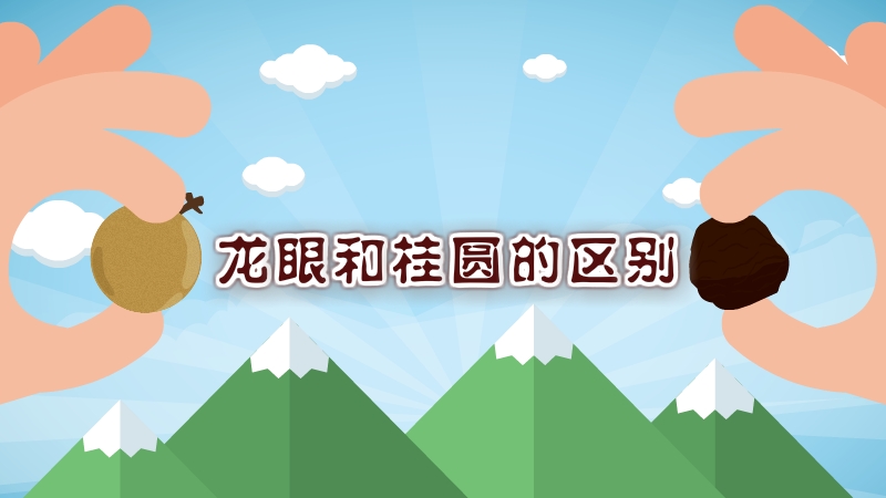 龍眼和桂圓的區(qū)別