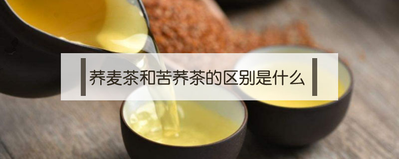 蕎麥茶和苦蕎茶的區別是什么