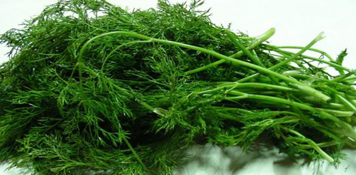 茴香的葉子黑了是否可以食用，孕婦可以少量食用茴香嘛