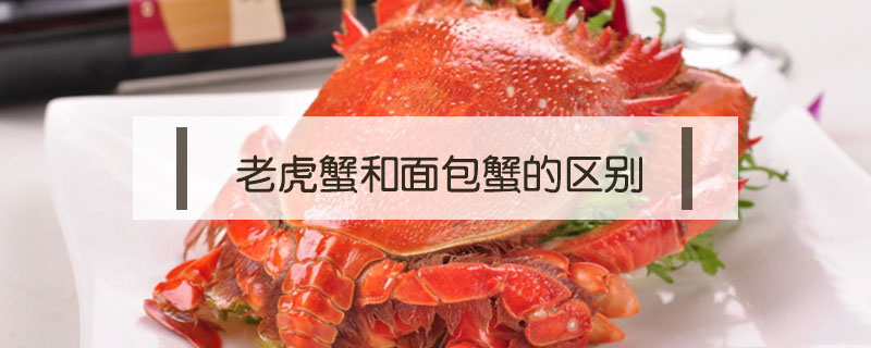 老虎蟹和面包蟹的區別