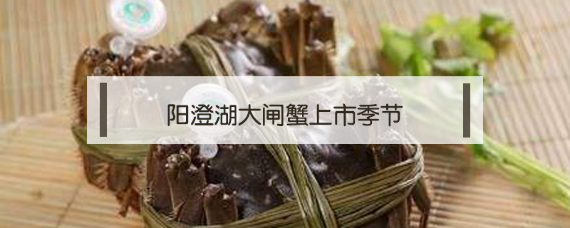 陽澄湖大閘蟹上市季節(jié)