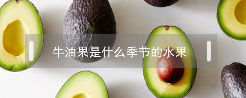 牛油果是什么季節(jié)的水果