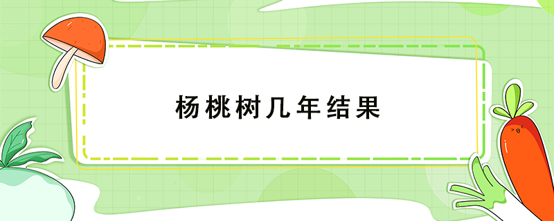 楊桃樹幾年結(jié)果