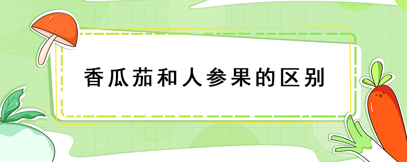 香瓜茄和人參果的區(qū)別
