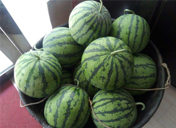 麒麟瓜有哪些營(yíng)養(yǎng)價(jià)值 吃麒麟瓜有什么好處