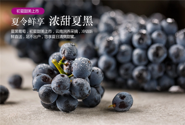 夏黑和巨峰葡萄哪個(gè)好吃 夏黑葡萄屬于巨峰的后代
