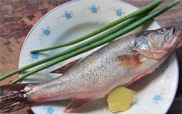 選購(gòu)鱸魚的方法大全，完全掌握鱸魚的選購(gòu)技巧