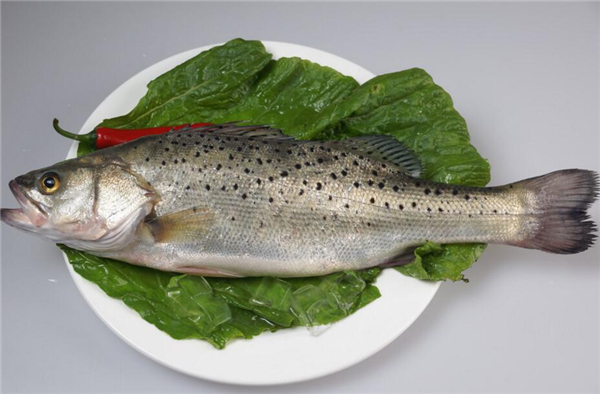 選購(gòu)鱸魚的方法大全，完全掌握鱸魚的選購(gòu)技巧