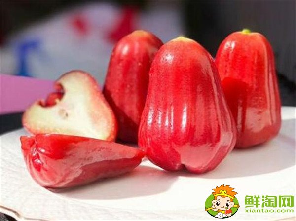蓮霧產(chǎn)地在哪里，蓮霧產(chǎn)地有哪些地方
