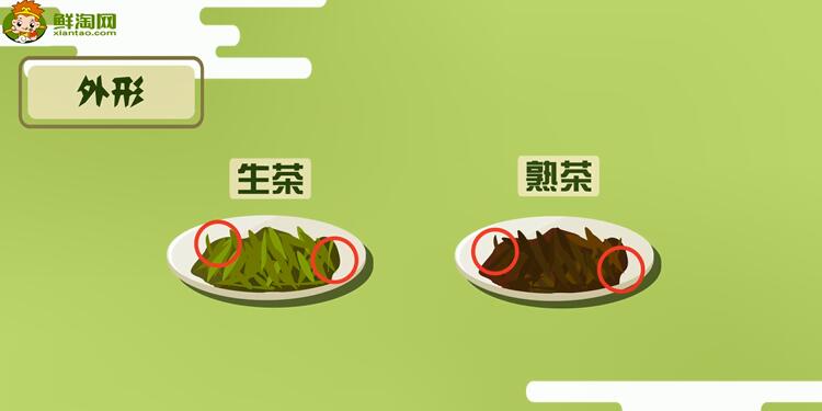 普洱生茶和熟茶的區別