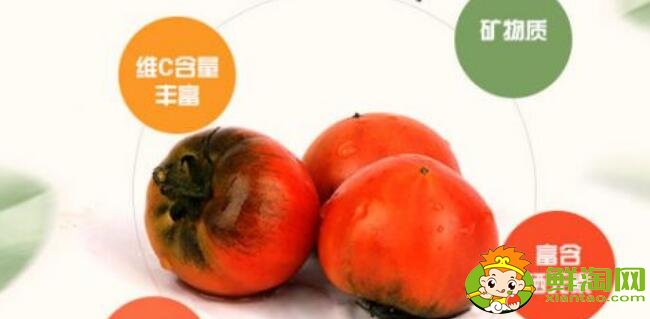 正宗鐵皮柿子產(chǎn)地是哪里,丹東鐵皮柿子什么時(shí)候上市