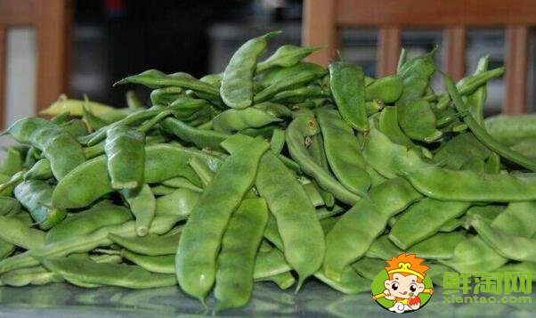 油豆角幾月份收獲，油豆角怎么保存時間長