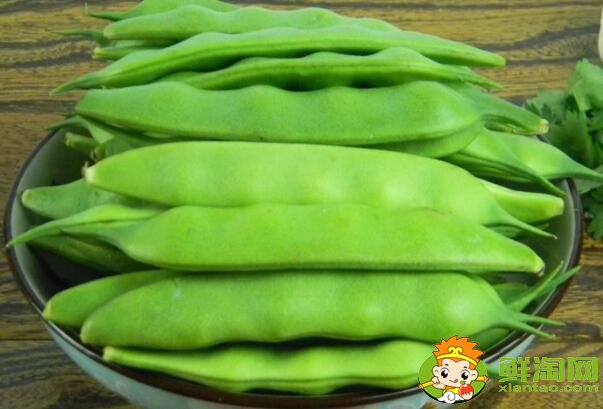 油豆角幾月份收獲，油豆角怎么保存時間長