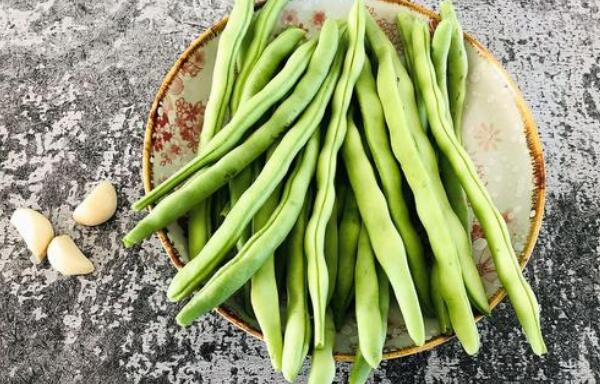 蕓豆長(zhǎng)什么樣，蕓豆品種圖片大全