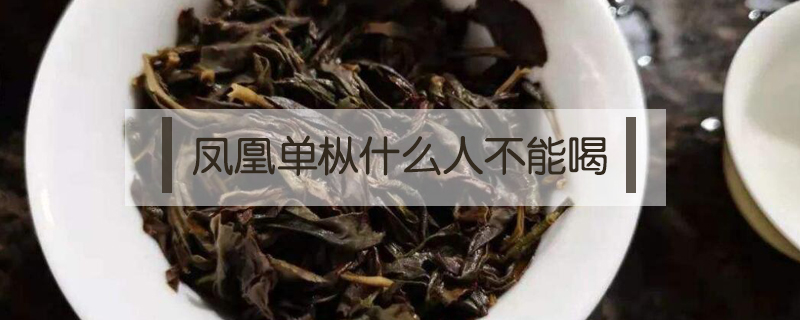 鳳凰單樅什么人不能喝