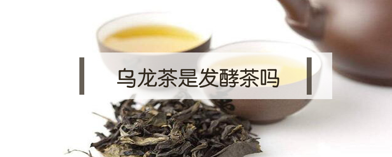烏龍茶是發(fā)酵茶嗎