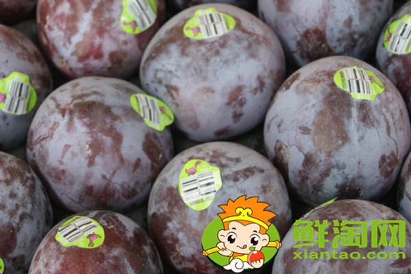 國產(chǎn)黑布林什么味道，黑布林進口和國產(chǎn)的區(qū)別