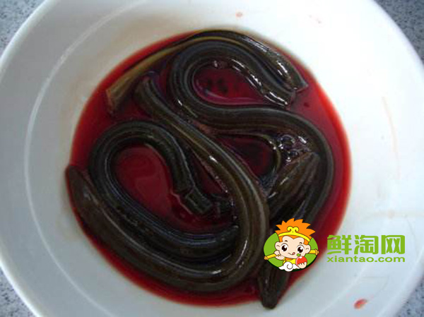 黃鱔血怎么吃最補(bǔ)，黃鱔血泡酒有什么功效