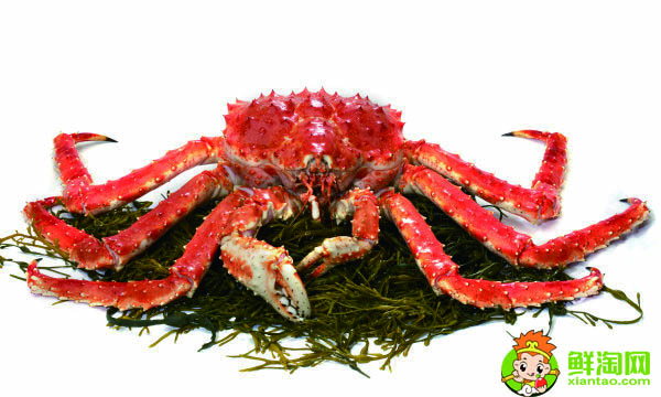 阿拉斯加帝王蟹產(chǎn)地,帝王蟹哪里產(chǎn)地最貴