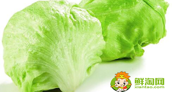 圓生菜可以生吃嗎,圓生菜和生菜區(qū)別