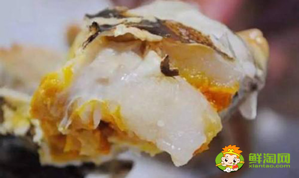 蟹膏長(zhǎng)什么樣子的圖片,面包蟹的蟹膏蟹黃是什么