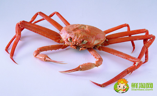 海蟹的黃為什么是苦的，蟹黃發苦是什么原因