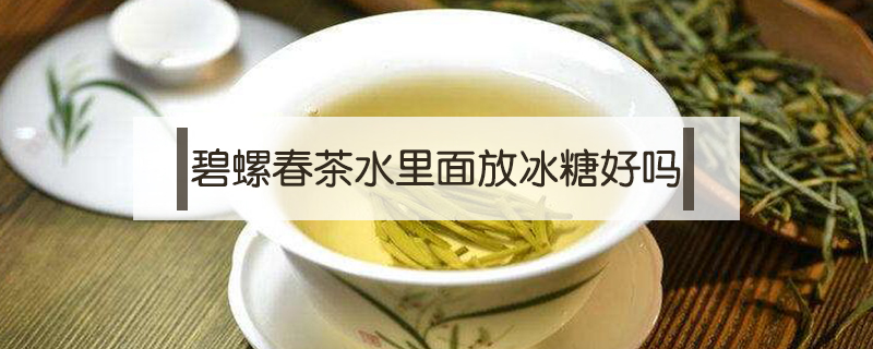 碧螺春茶水里面放冰糖好嗎