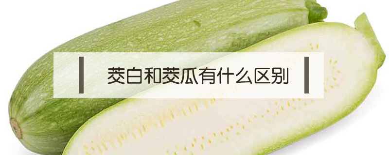 茭白和茭瓜有什么區別