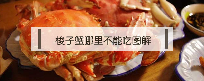 梭子蟹哪里不能吃圖解
