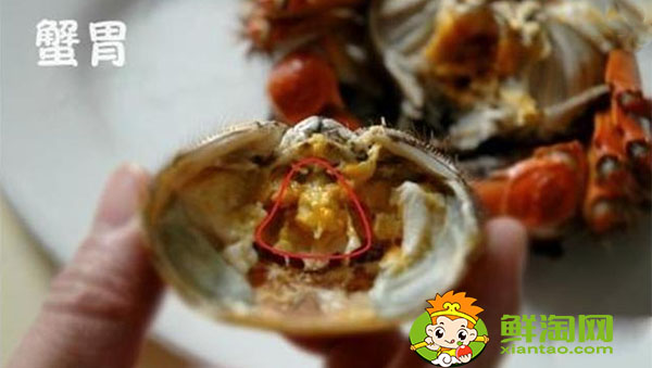 梭子蟹哪里不能吃圖解