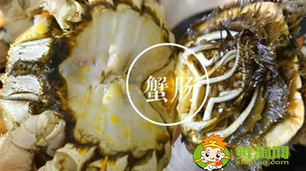 梭子蟹哪里不能吃圖解