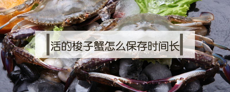 活的梭子蟹怎么保存時(shí)間長