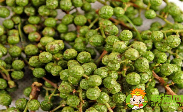 青花椒與藤椒區別，藤椒和青花椒哪個麻