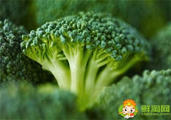 西蘭花變白了能吃嗎,西蘭花吃多了的害處