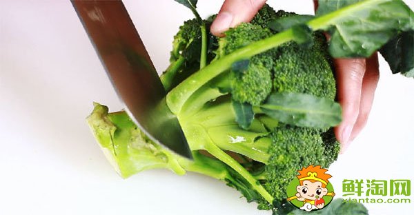 清炒西蘭花焯水多久,清炒西蘭花的做法竅門