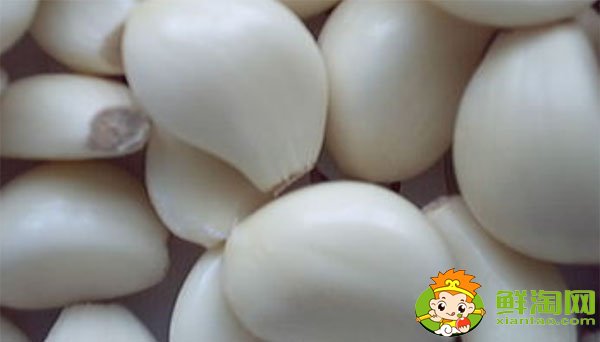 金鄉大蒜最新價格,一九年下半年大蒜行情