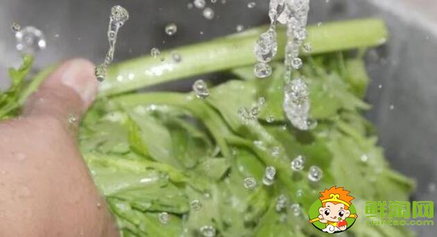 洗過的芹菜怎么保存，洗好的芹菜能放多久