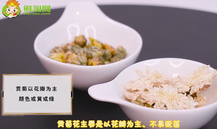 貢菊花和胎菊花的區別