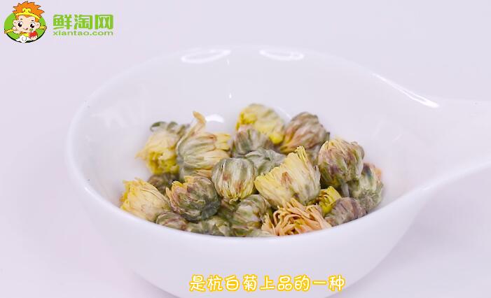 貢菊花和胎菊花的區別