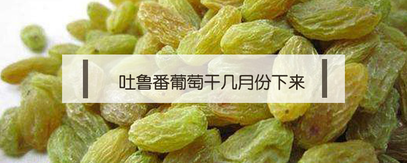 吐魯番葡萄干幾月份下來(lái)