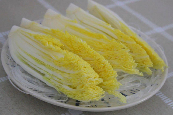 娃娃菜是白菜嗎，兩者的區別非常明顯