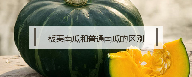 板栗南瓜和普通南瓜的區別