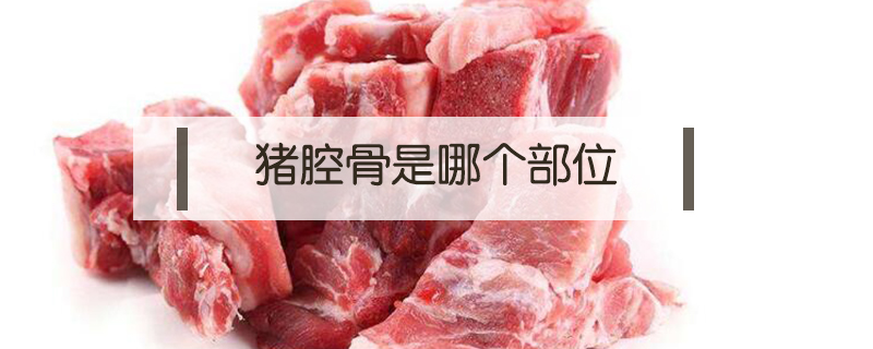 豬腔骨是哪個部位