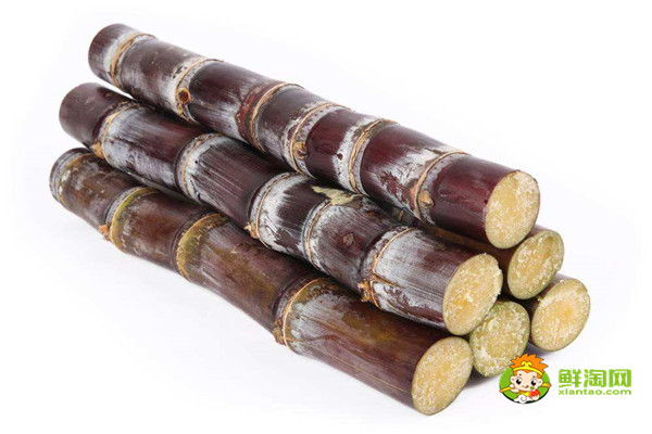 黑皮甘蔗是涼性還是熱性,黑皮甘蔗偏涼不適合體內虛寒的人吃