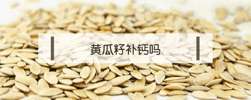 黃瓜籽補(bǔ)鈣嗎