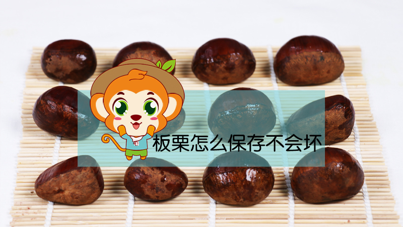 板栗怎么保存不會壞