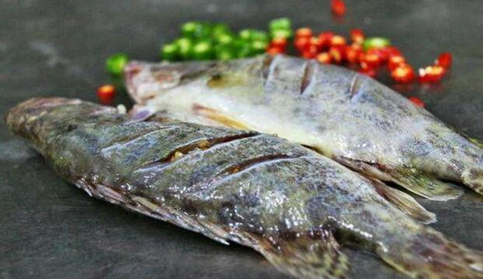 桂魚為什么是臭的