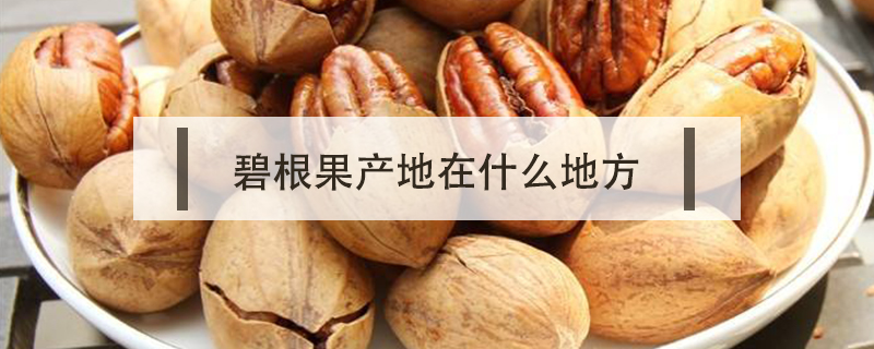 碧根果產(chǎn)地在什么地方