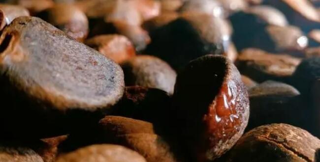 茶油怎么榨出來(lái)的